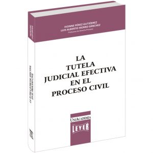 La tutela judicial efectiva en el proceso civil